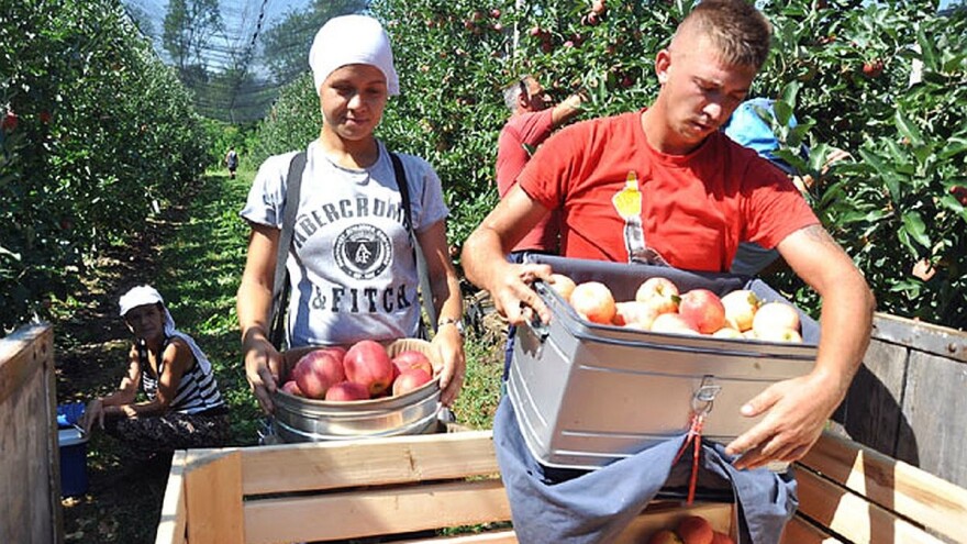 Gala tražena u Evropskoj uniji