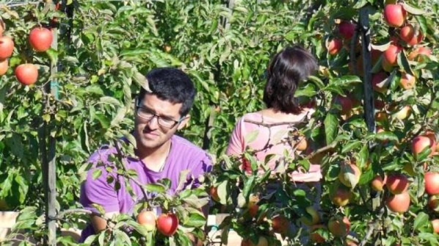 Novom Zelandu nedostaje dvije hiljade sezonaca