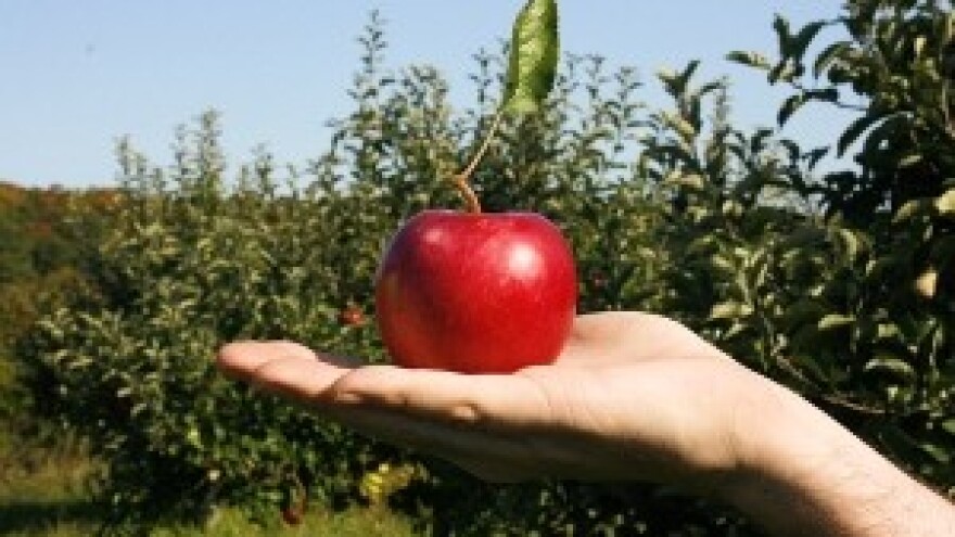 Prijedlog legalizacije sezonskog rada u poljoprivredi