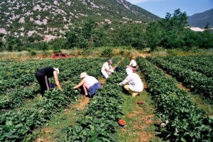 LAGovi u poticanju razvojnih lokalnih inicijativa!