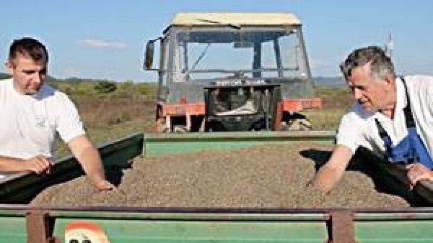 Domaće je domaće (OPG Janković)