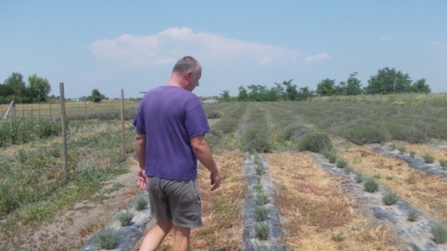 Krađe na farmama bez ikakvih posljedica?