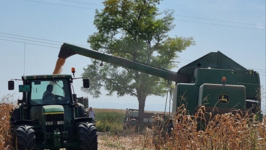 I dalje veoma toplo, kada će biti kiše?