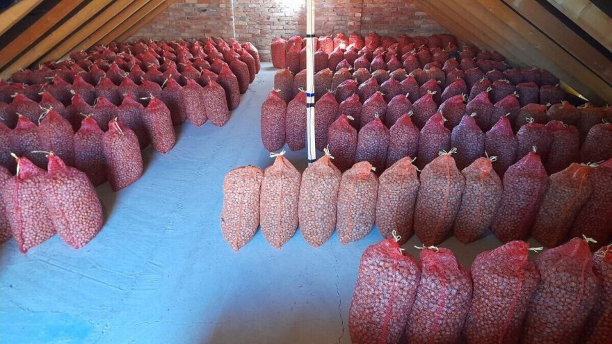 Koliko randman i klasa "dižu" cenu lešnika?