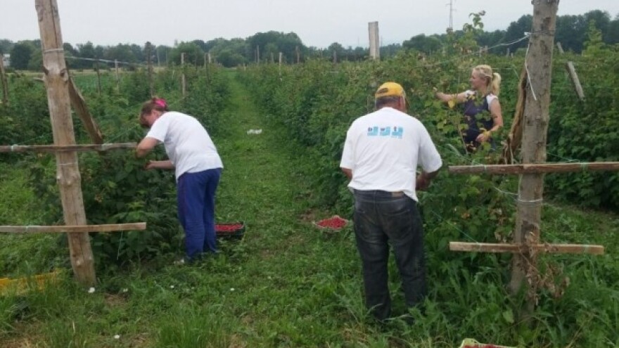 Malinari nisu robovlasnici