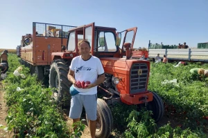 Uz kvalitetno navodnjavanje do visokih prinosa paprike