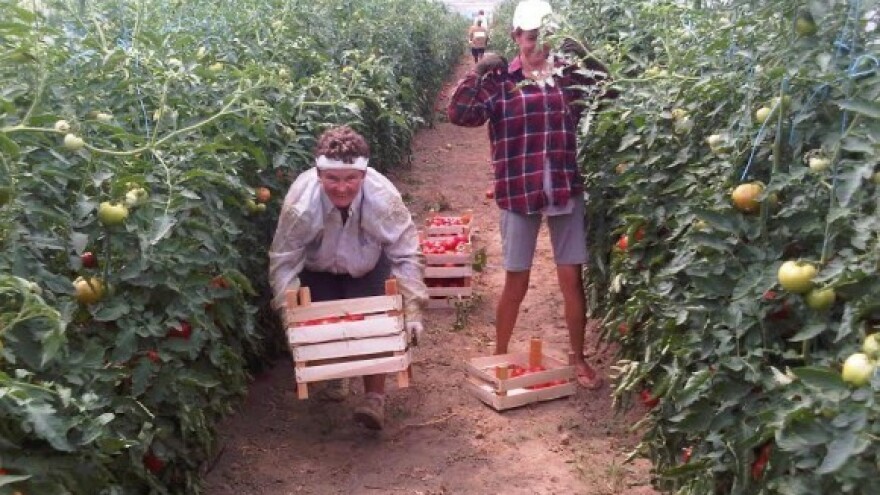 Ni preveliki ni premali - a prilagodljivi tržištu!