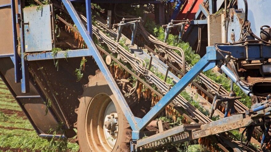 7 inovativnih mašina koje ubrzavaju berbu voća i povrća