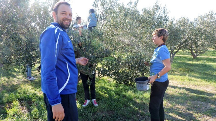 Maslinovo ulje Katoličke osnovne škole iz Šibenika nagrađeno zlatom u New Yorku