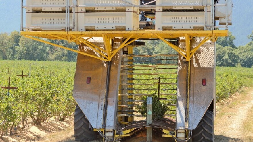 Povoljni uvjeti za berbu grožđa i voća!