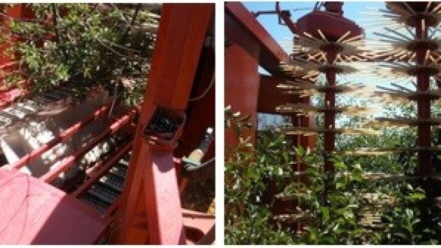 Edukacija poljoprivrednika u Mošorinu