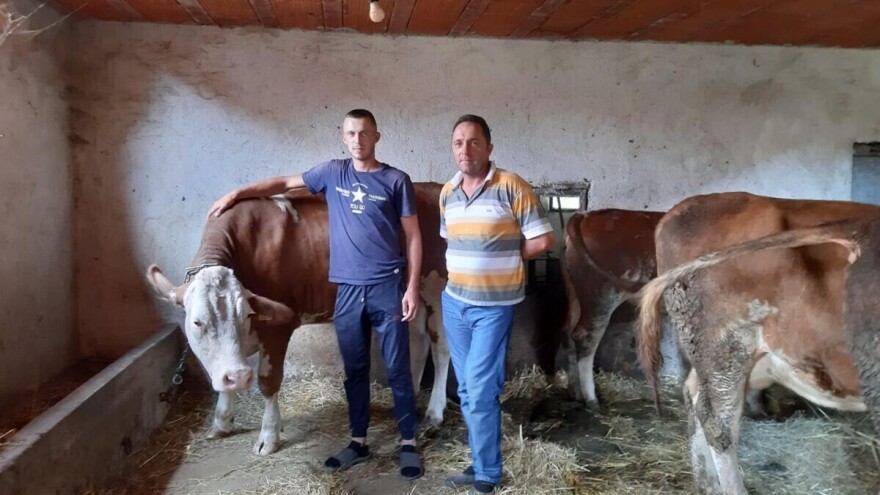 U bujanovački kraj stižu 92 junice iz Nemačke. Šta će to značiti za stočare?