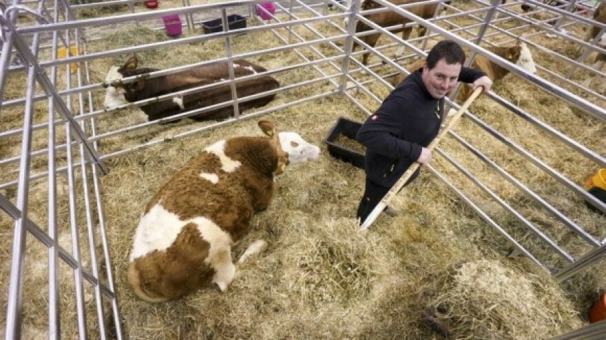 Proizvodnja mesa kojom se Nijemci s pravom ponose