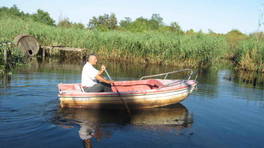 Sam napravio jezero - vratio laste, kornjače, barske koke