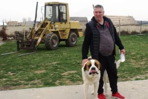Bernardinci: Simpatične grdosije zabava za vlasnika, ali i čuvari farme i kuće