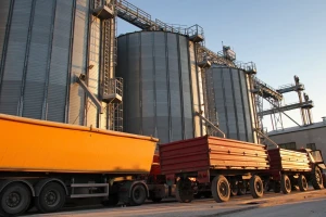 Stagnacija cena žitarica i uljarica na Produktnoj berzi, pad u svetu