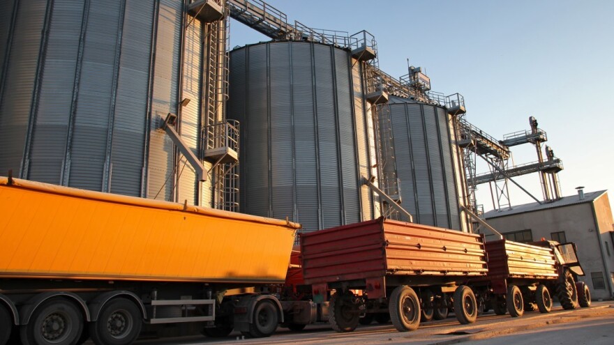 U silosima uskladišteno oko hiljadu tona pšenice, većinom semberske