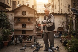 Besim Gubelić često odvaja od usta da bi prehranio svoje ptice