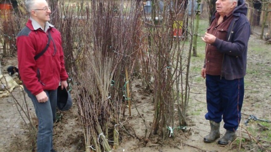 Pobijedila ljubav prema starim sortama!