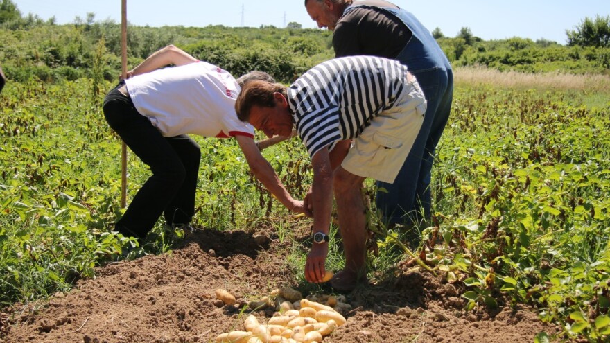 Zadarski beskućnici postaju uspješni poljoprivrednici!