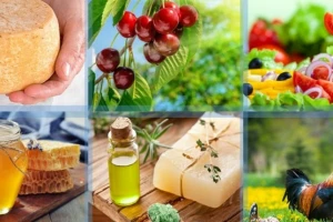 200.000 američkih dolara za unapređenje konkurentnosti za šest sektora