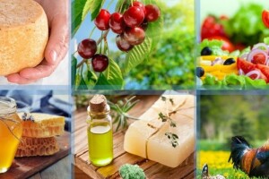 200.000 američkih dolara za unapređenje konkurentnosti za šest sektora