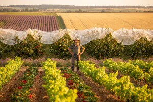 Bespovratna sredstva za poljoprivredu