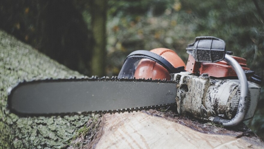 Bespravna sječa: 551 prekršaj vrijednosti 750.000 KM, problem i lovci