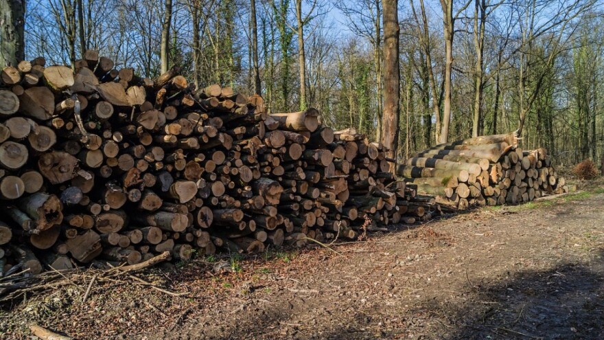 Oduzeli oko 780 metara kubnih šumskih drvnih sortimenata na području Gradiške