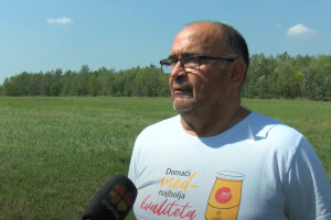 Ove godine prinosi meda i do 50 kilograma po košnici
