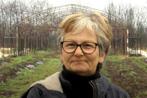 Jagode s OPG-a Poljak: 30 godina obiteljske tradicije u uzgoju plodova bez kemikalija