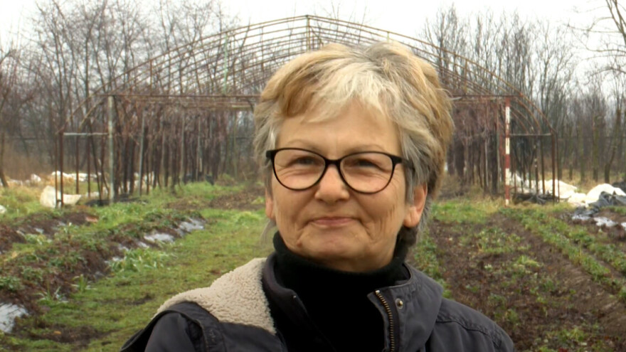 Jagode s OPG-a Poljak: 30 godina obiteljske tradicije u uzgoju plodova bez kemikalija