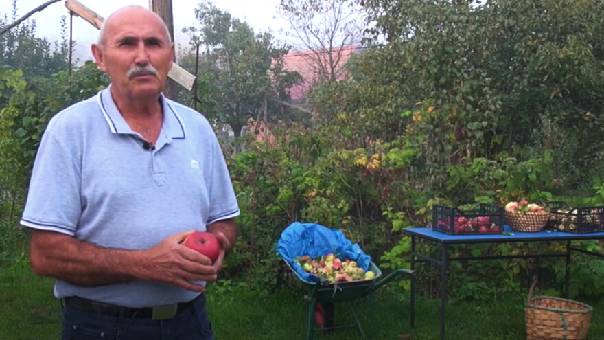 Ljekovitost jabuka krije se u sjemenkama - što je sve o starim sortama otkrio Mirko Veić?