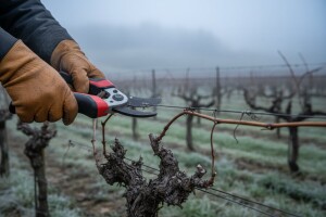 Bez tehnologije proizvodnja nekonkurentna