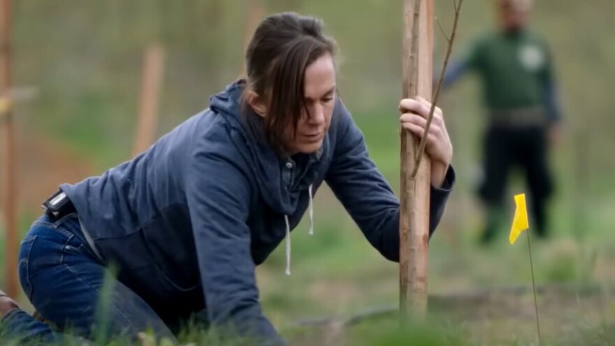 Jeste li pogledali dokumentarac - The Biggest Little Farm?