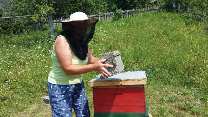 Ispunila san - zapčelarila u 62. godini
