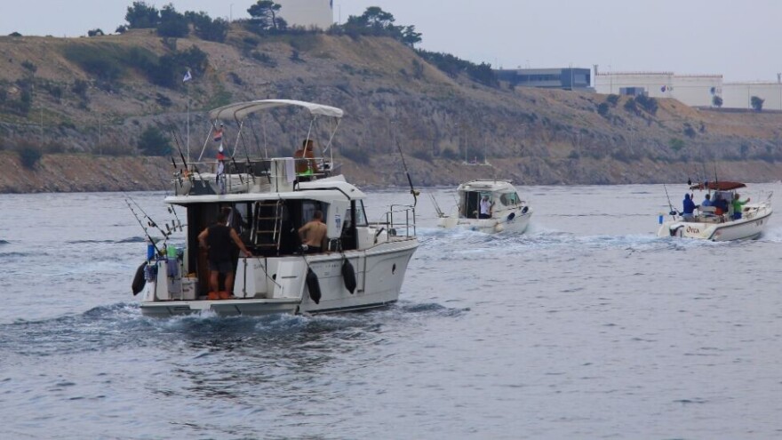 Ribolov plavoperajne tune: Raspodjela državne kvote u 2021. godini