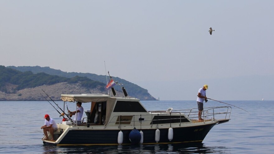 Gotovo svaka tuna koja se uzgoji i ulovi odlazi za Japan, potražnja i dalje veća od ponude