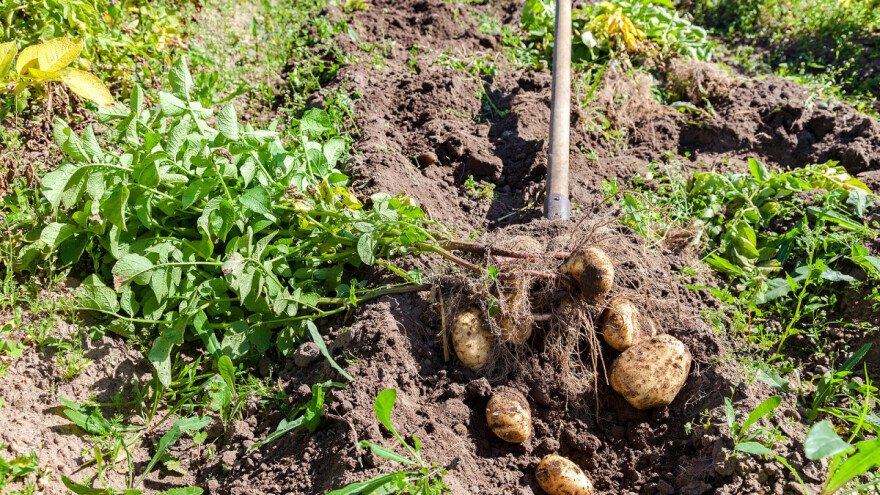 Izmijenjen Pravilnik programa potpore za primarne proizvođače