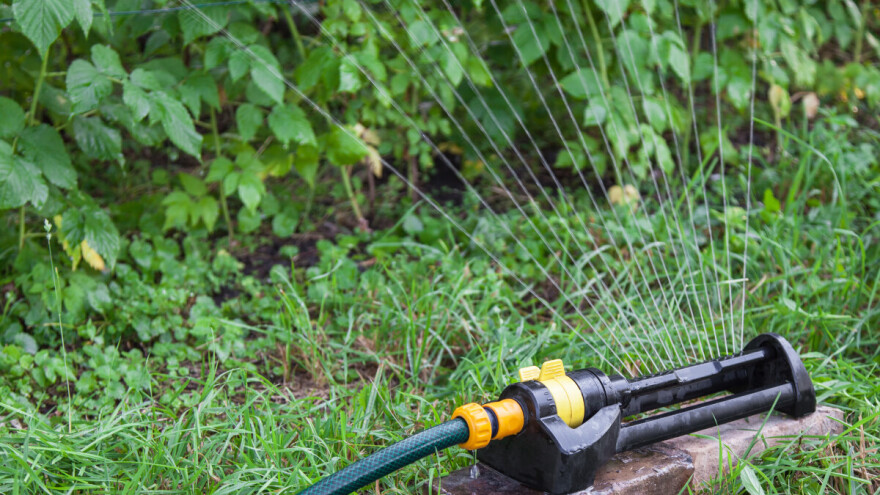 Kada je voću potrebno najviše vode?