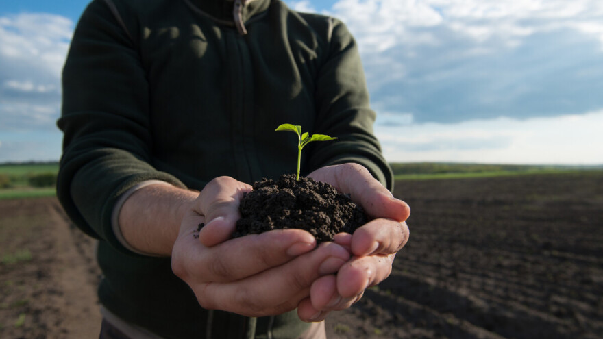 Azotna đubriva - Dozirati, ali ne pretjerivati