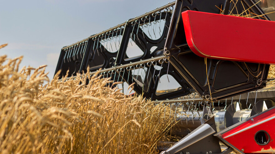 Rasle cijene hrane u svibnju - žitarice skuplje za 36,6 posto?