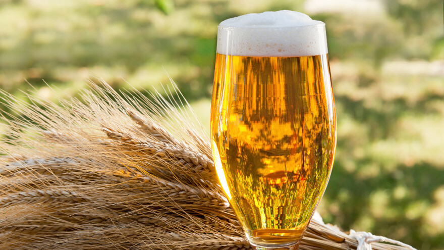 Eurostat: Svako četvrto pivo u EU - njemačko