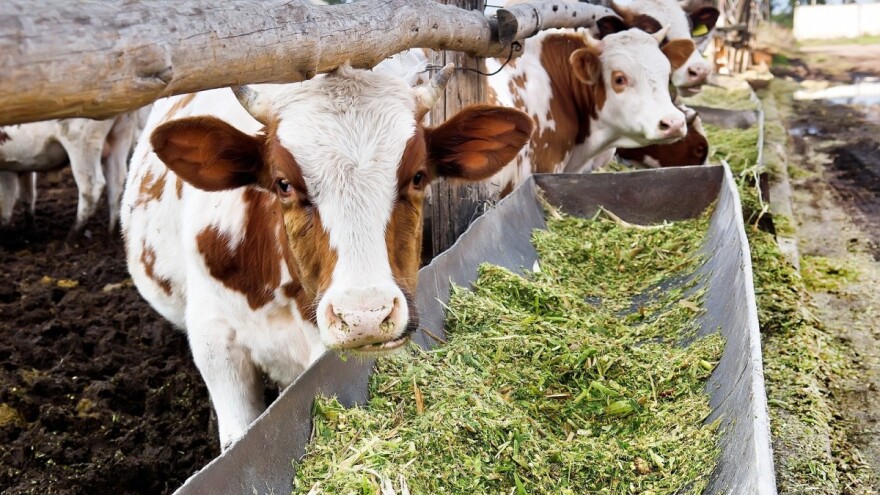 Opstanak malih stočara moguć samo uz udruživanje