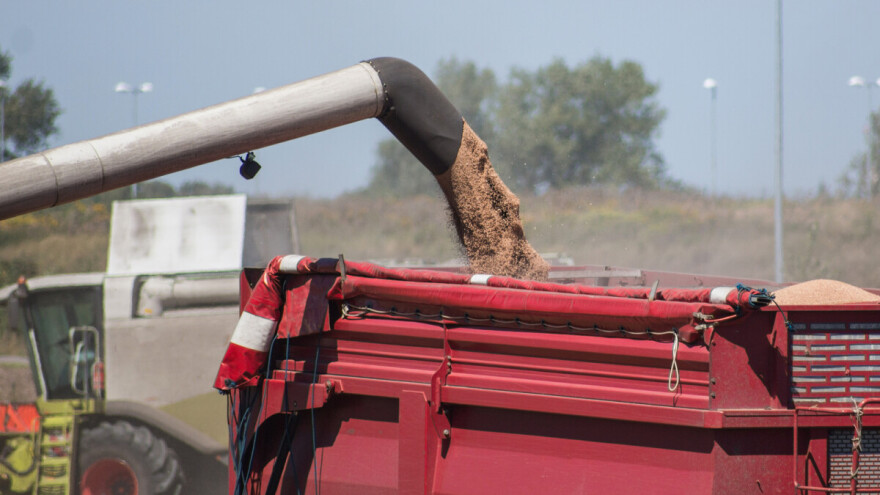 Rast cena soje i pšenice