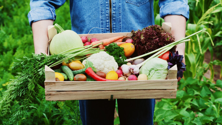 Otvoreni natječaji za mjeru 21, izvanrednih 360 milijuna kuna potpore