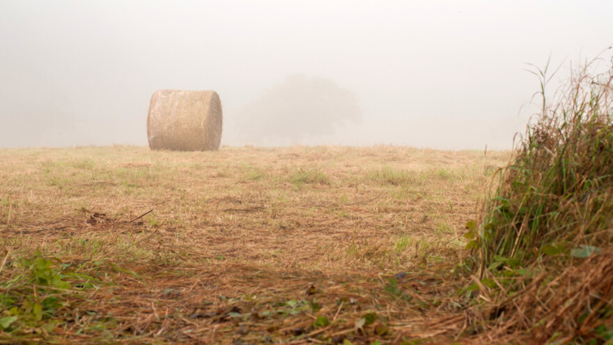 Za vikend temperature i do 19°C - neće ih spustiti ni sjeverac