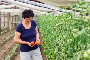 5 miliona KM podsticaja za kapitalne investicije, ali i kazne za prevarante