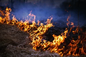 Spaljivanje žetvenih ostataka sve češće, a posledice nesagledive