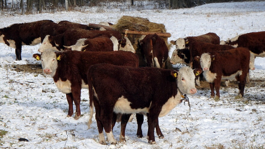 DHMZ objavio prognozu za zimu - kakvo nas vrijeme čeka?